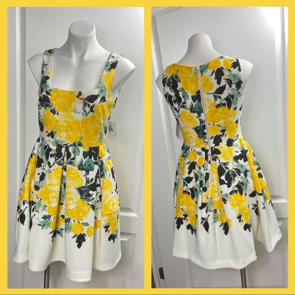 Taylor dress